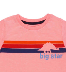 BIG STAR-MULTICOLOR STRIP-BOYS T SHIRT | PINK
